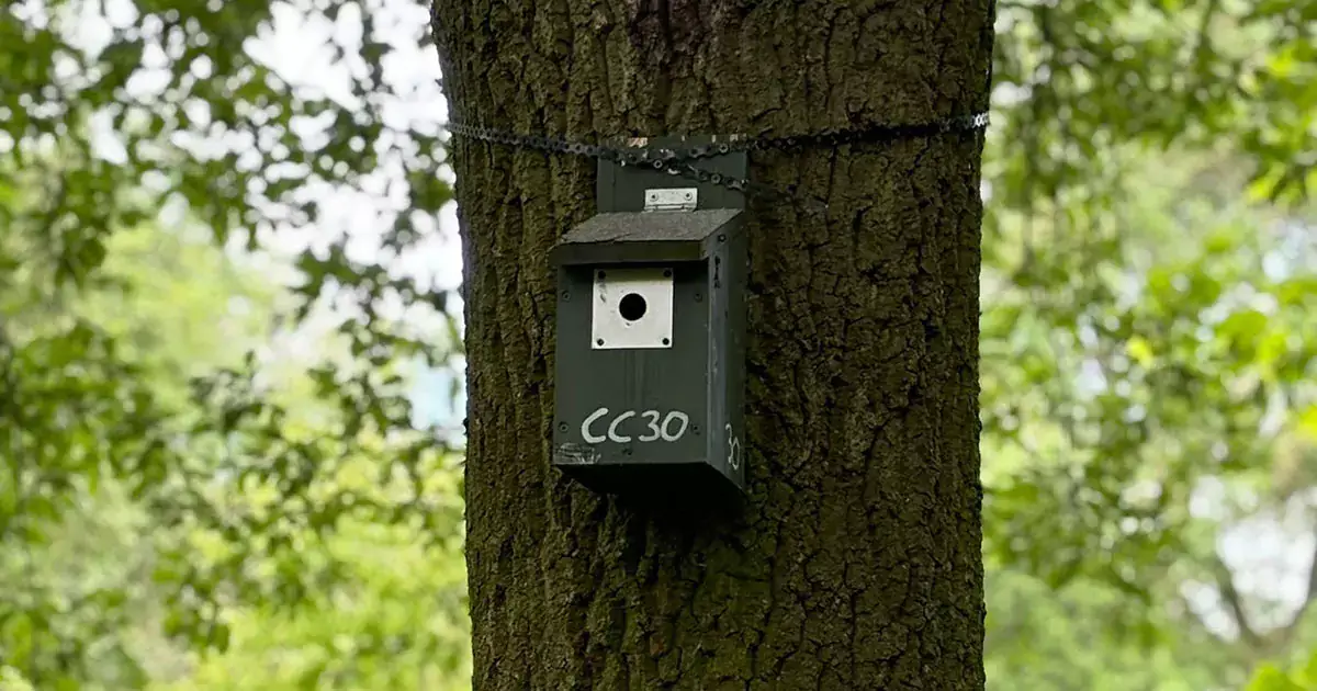 Sustainability Alert